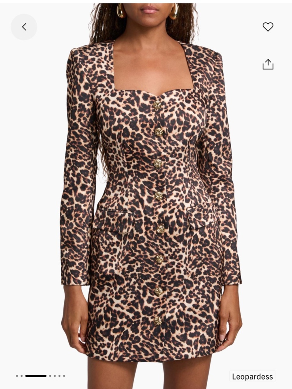 Generation Love Leopard-Print Satin Mini Dress - Brown & Black
